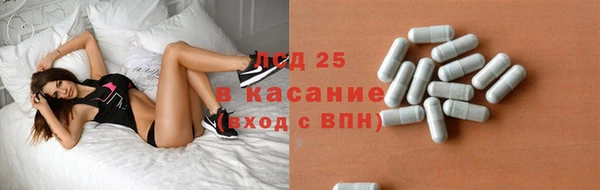 твердый Аркадак