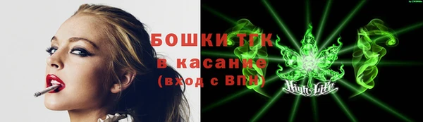 твердый Аркадак