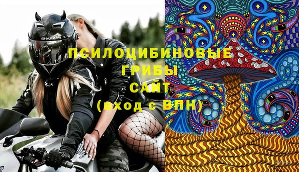 твердый Аркадак